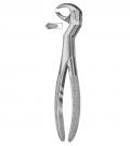 Left lower wisdoms and molars