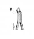 Upper molars hook-handle