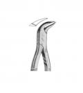Lower morals cow-horn beak