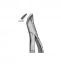 Universal forceps for upper teeth and roots