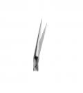 Angular Saw Edge 